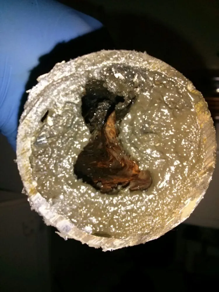 Slide of Pro Rooter Services