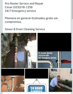 Pro Rooter Services Logo