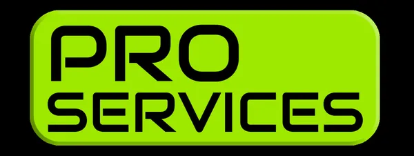 Pro Services And Repair Logo