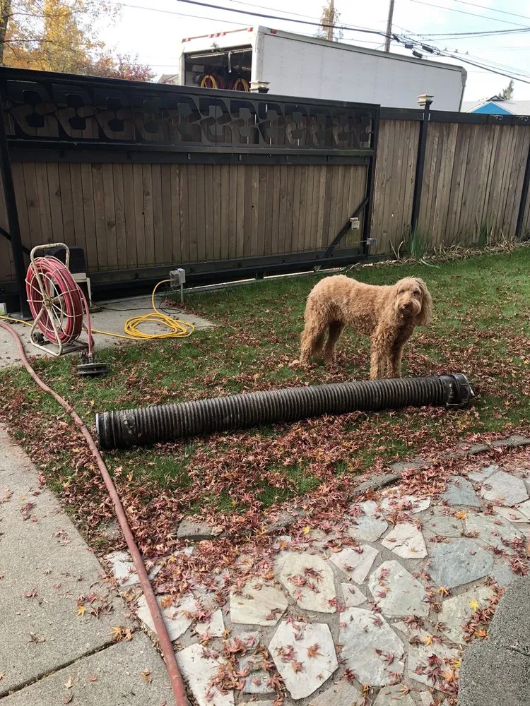 Slide of Pro Sewer Repair
