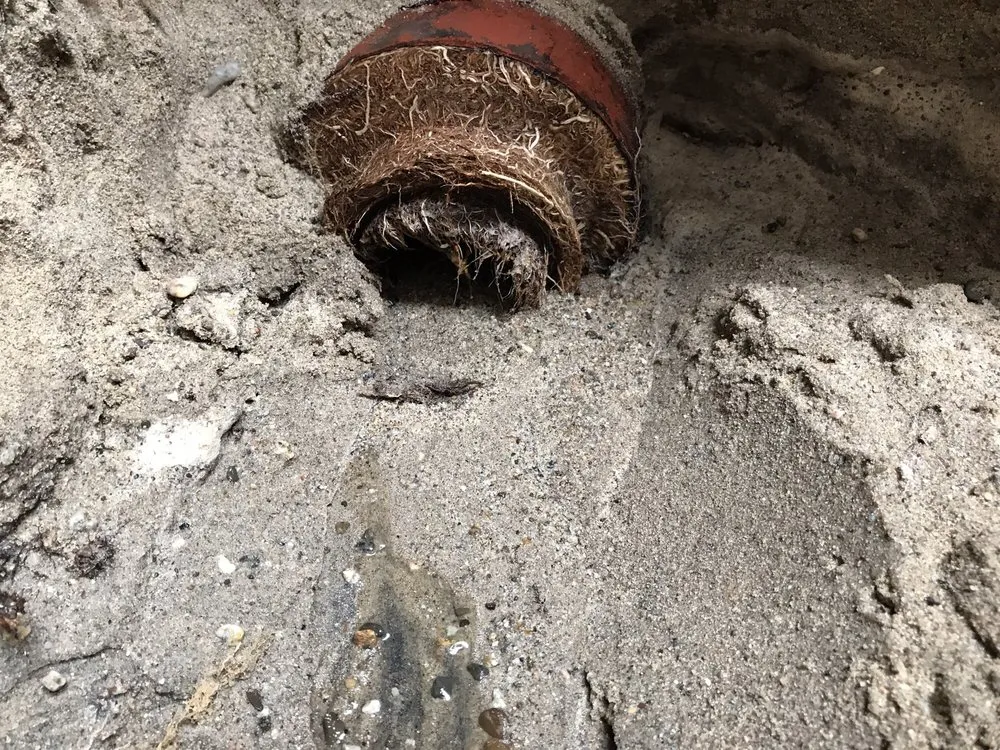 Slide of Pro Solutions Plumbing and Rooter