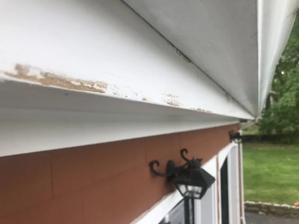 Slide of Pro-Touch Finishings