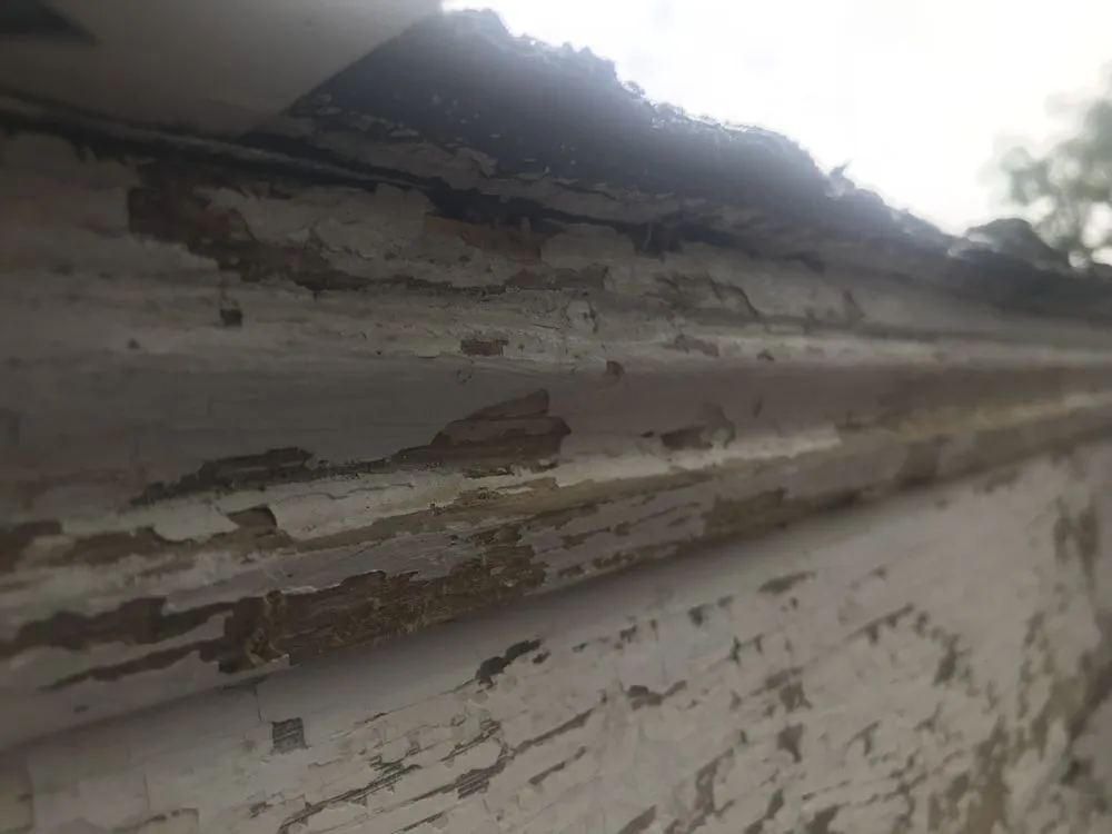 Slide of Pro-Touch Finishings