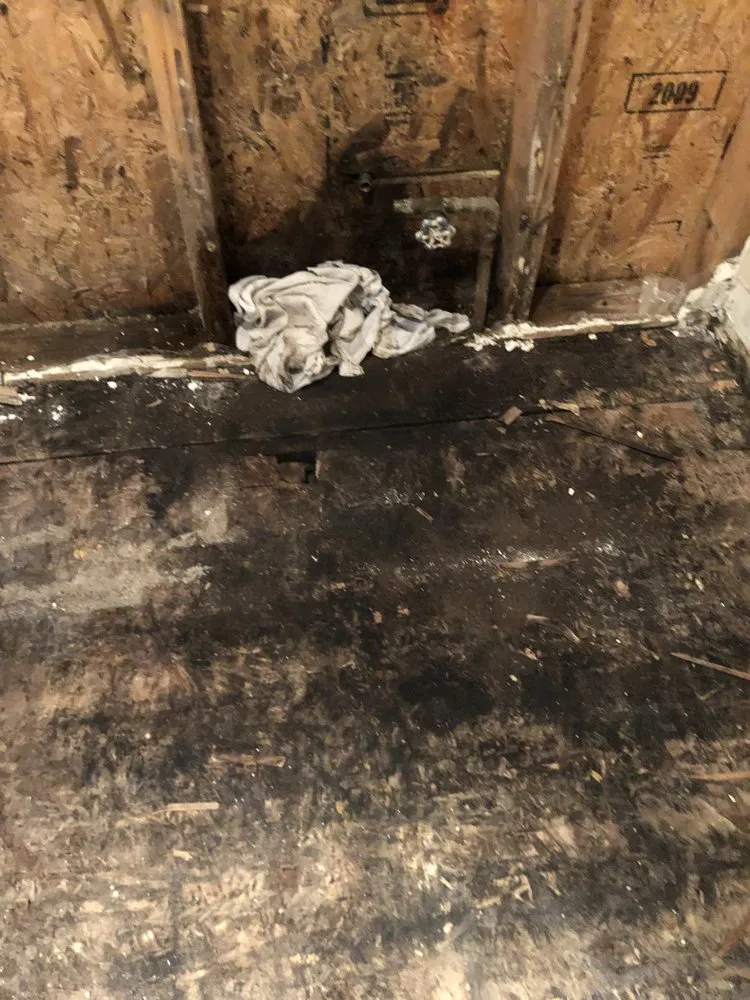 Slide of Pro-Touch Finishings