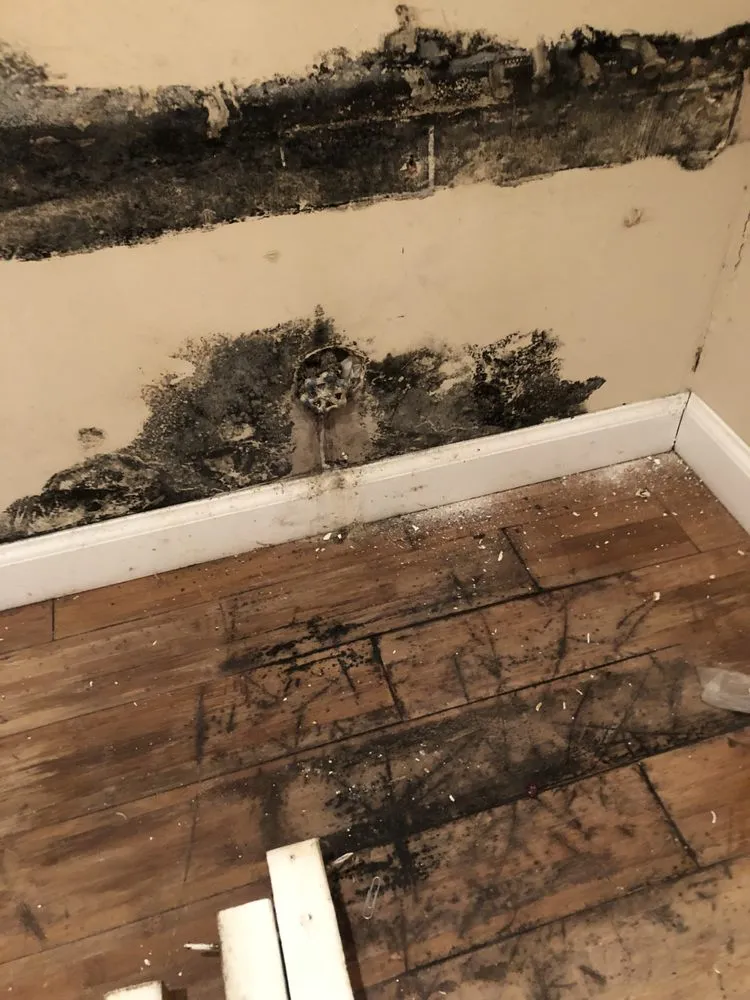 Slide of Pro-Touch Finishings