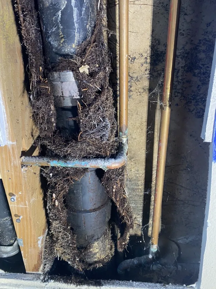 Slide of Proactive Plumbing