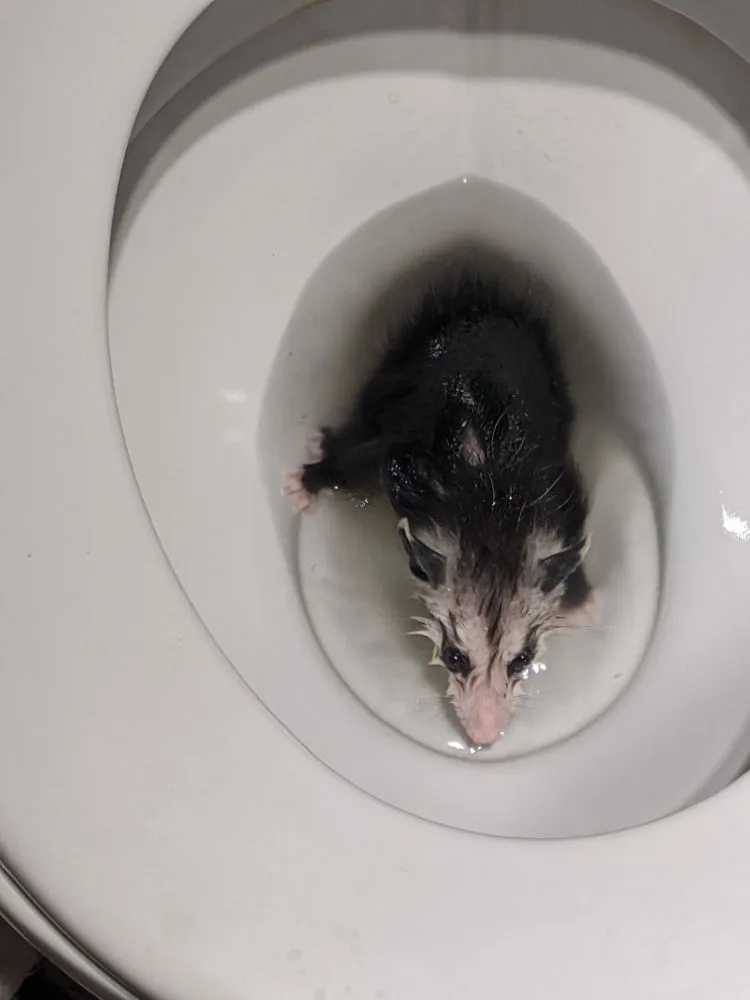 Slide of Proactive Plumbing