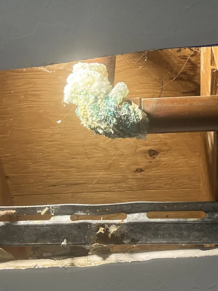 Slide of Proactive Plumbing