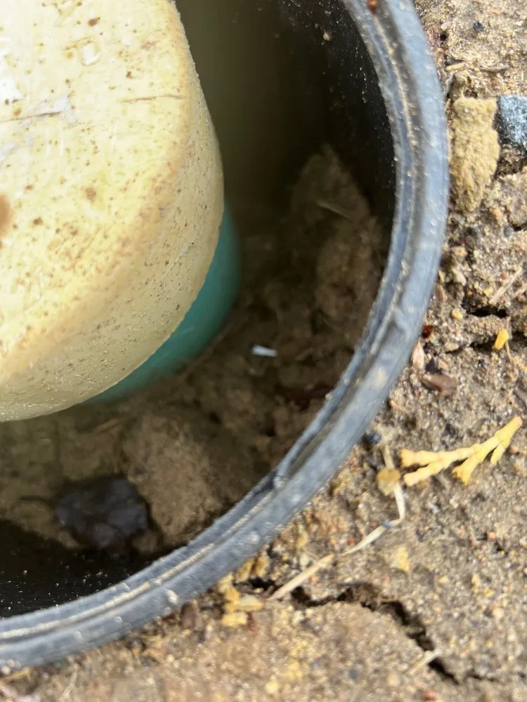 Slide of Proactive Sewer & Drain