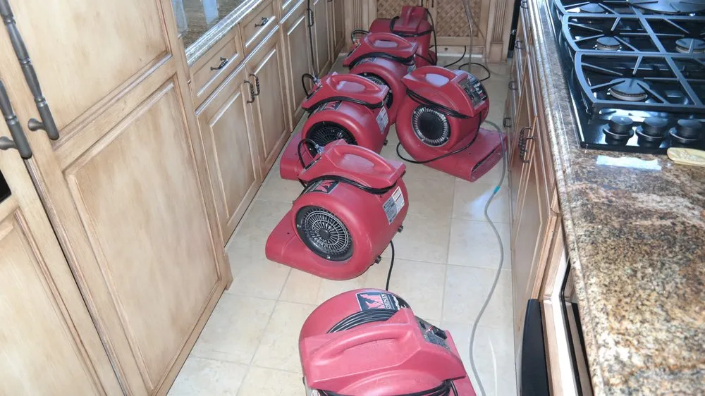 Slide of ProCare Services