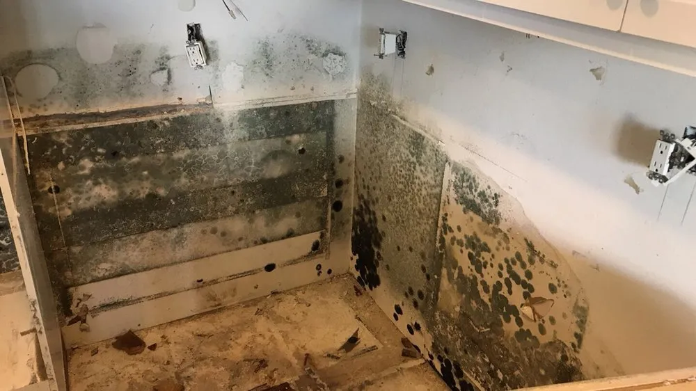 Slide of ProCare Services