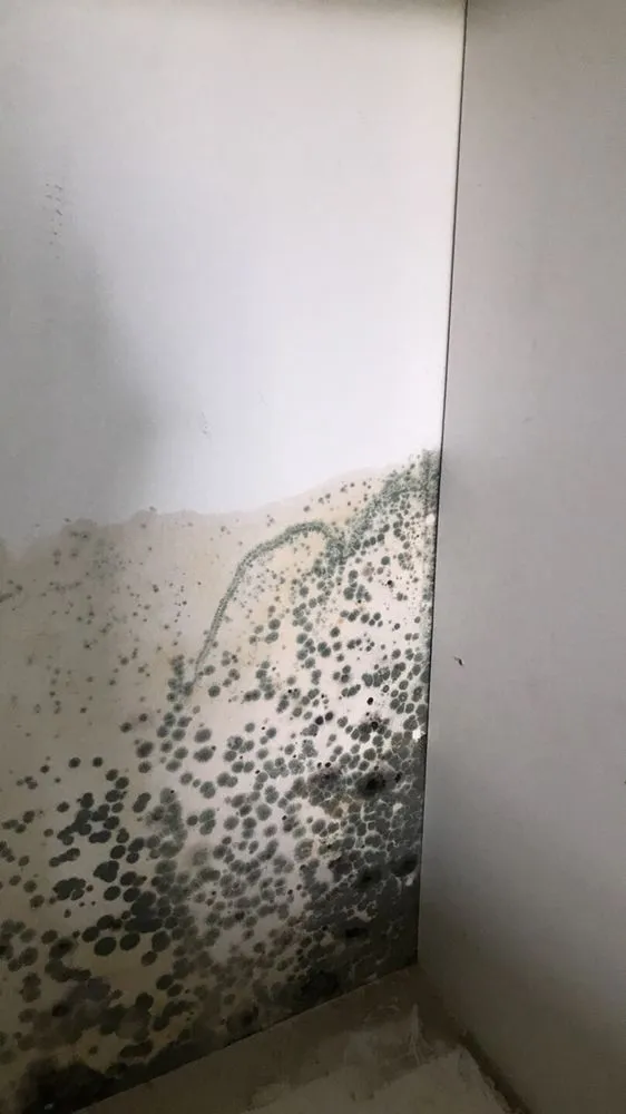 Slide of ProCare Services