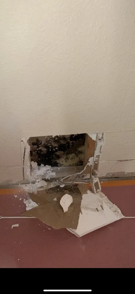 Slide of ProCare Services