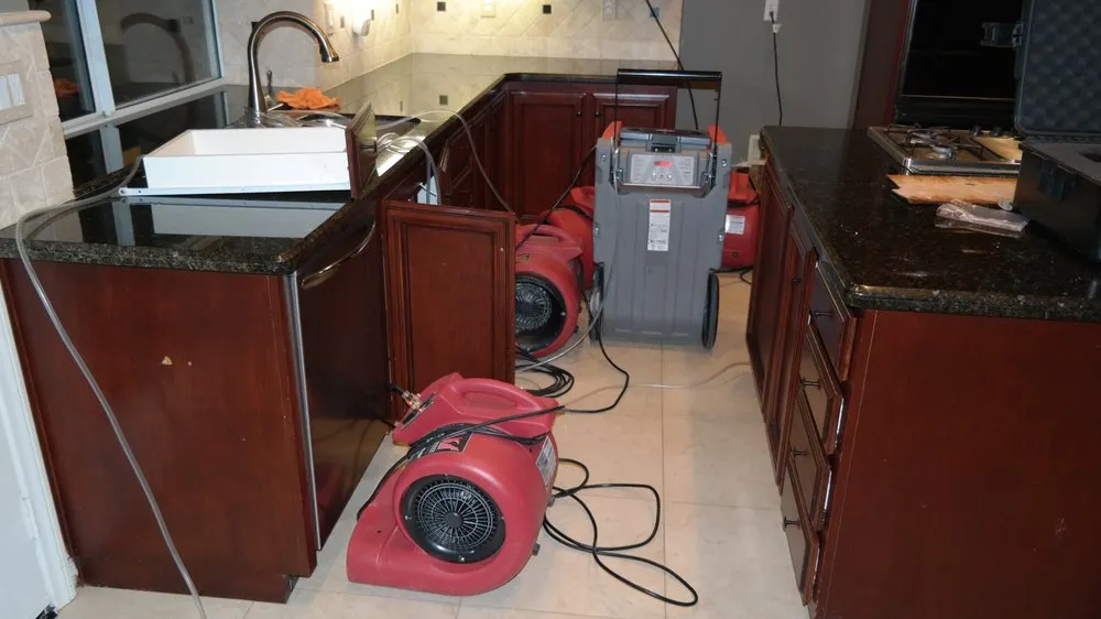 Slide of ProCare Services