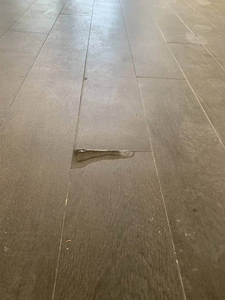 Slide of ProCare Services