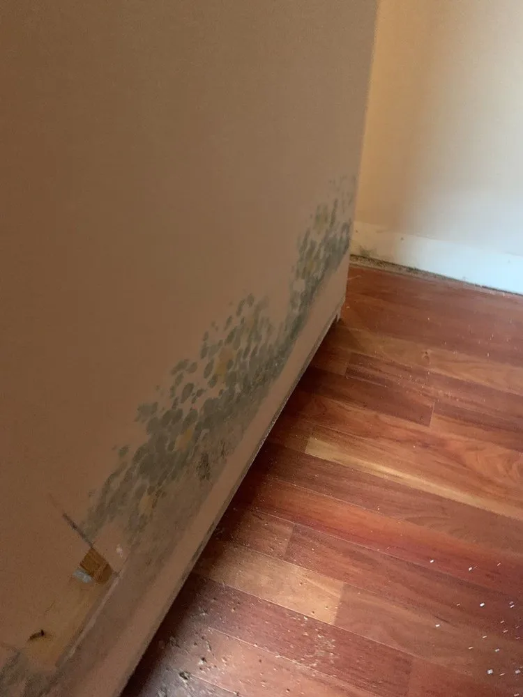 Slide of ProCare Services