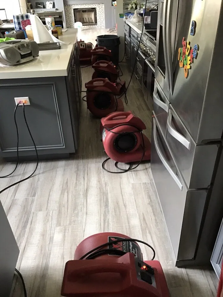 Slide of ProCare Services