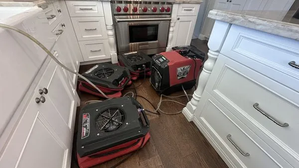 ProCare Services Logo