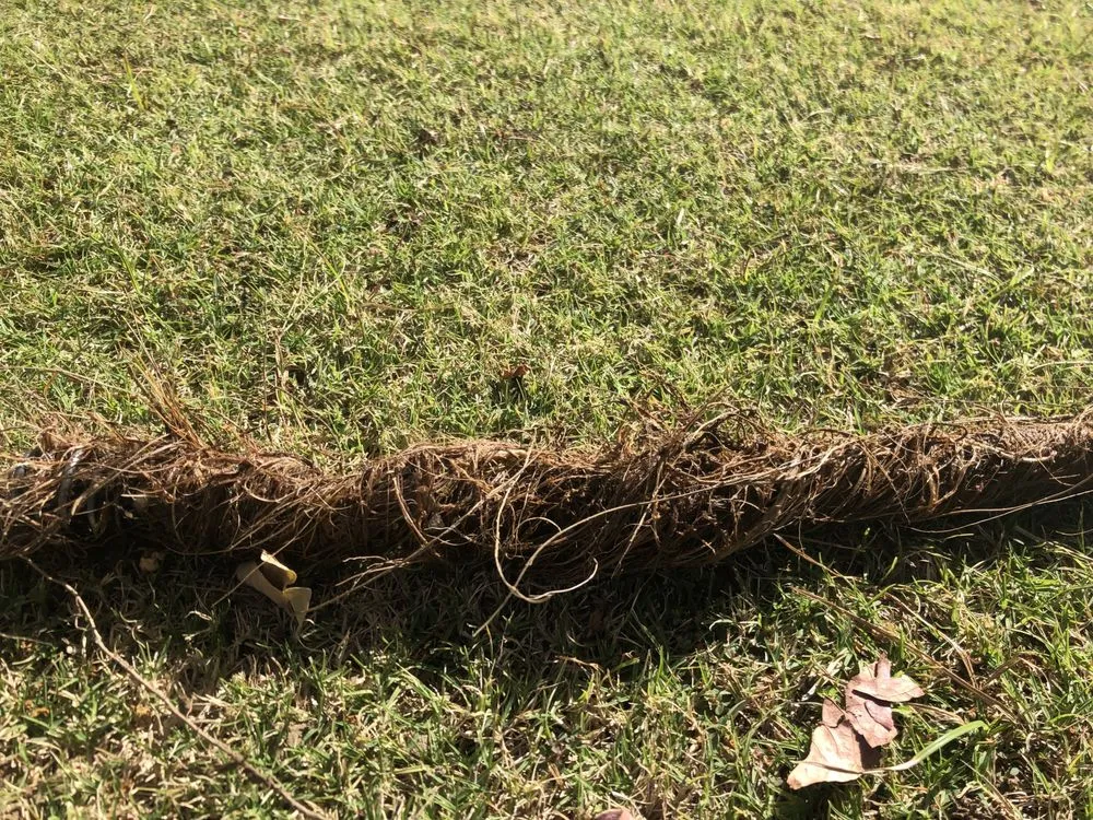 Slide of Prodigy Flow Plumbing