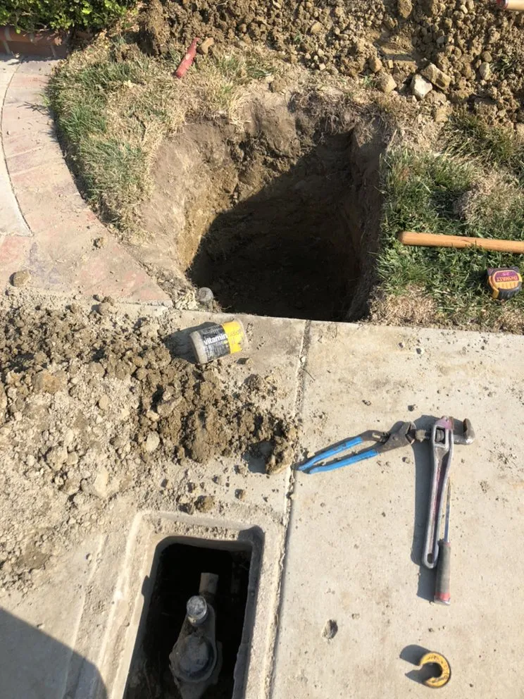 Slide of Prodigy Rooter