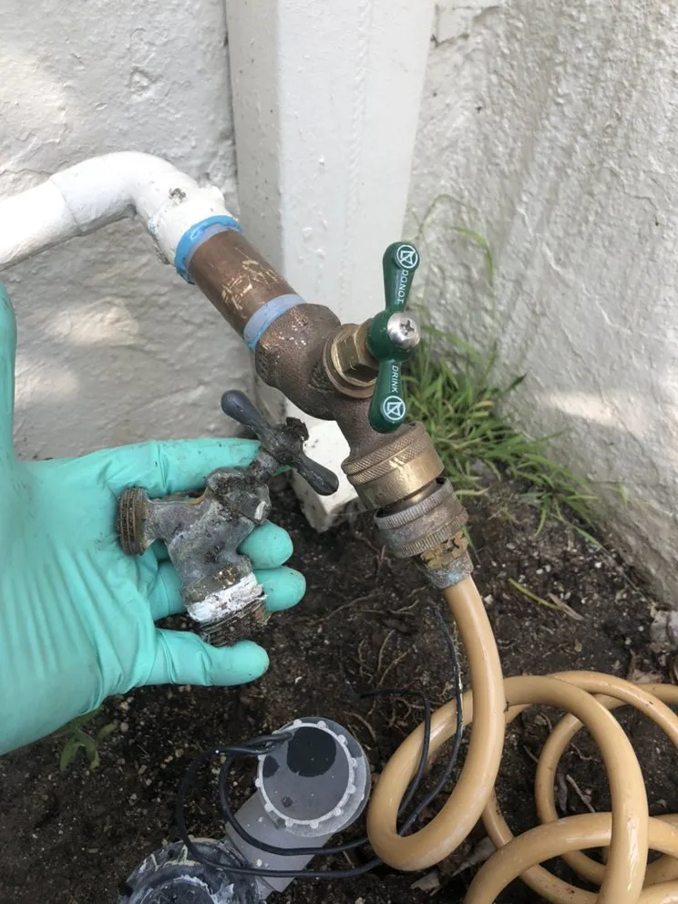 Slide of Prodigy Rooter