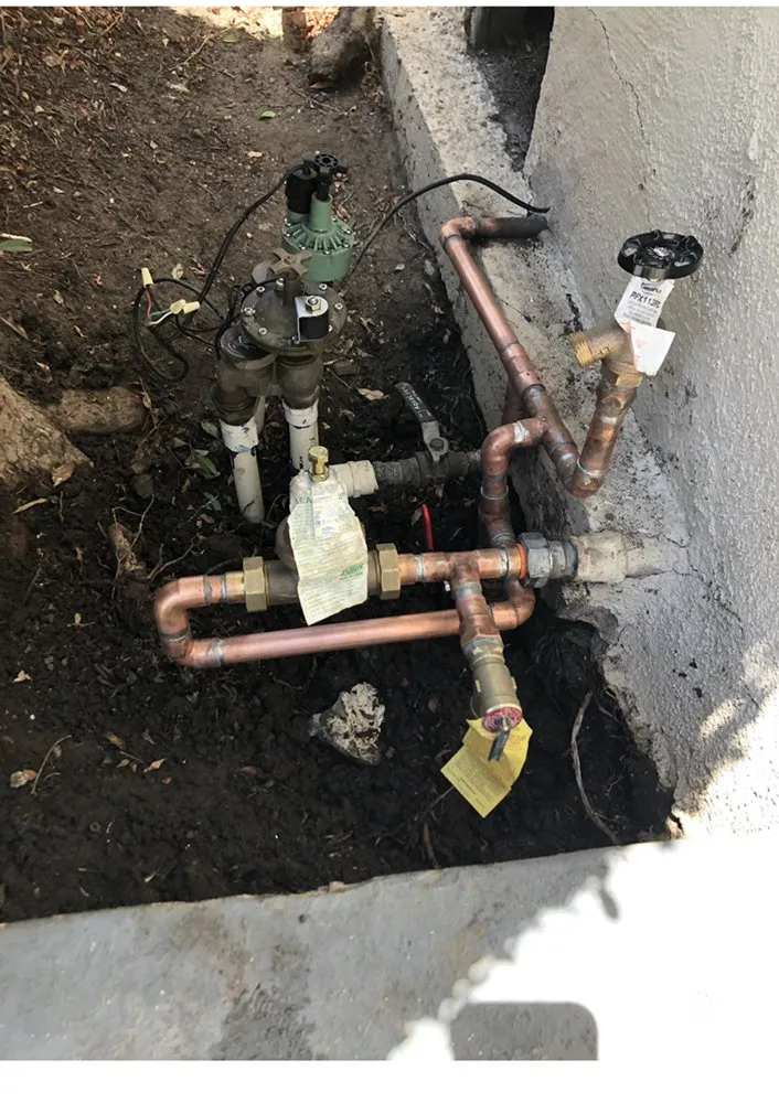 Slide of Prodigy Rooter