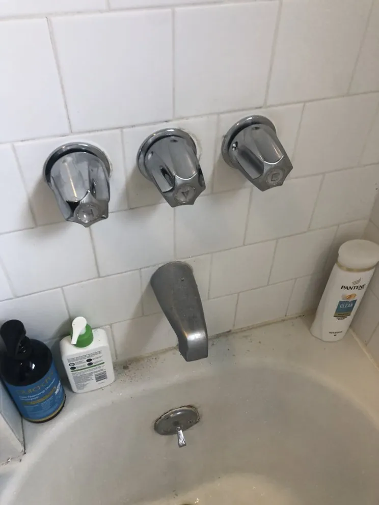 Slide of Prodigy Rooter