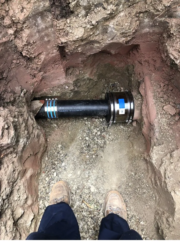 Slide of Prodigy Rooter