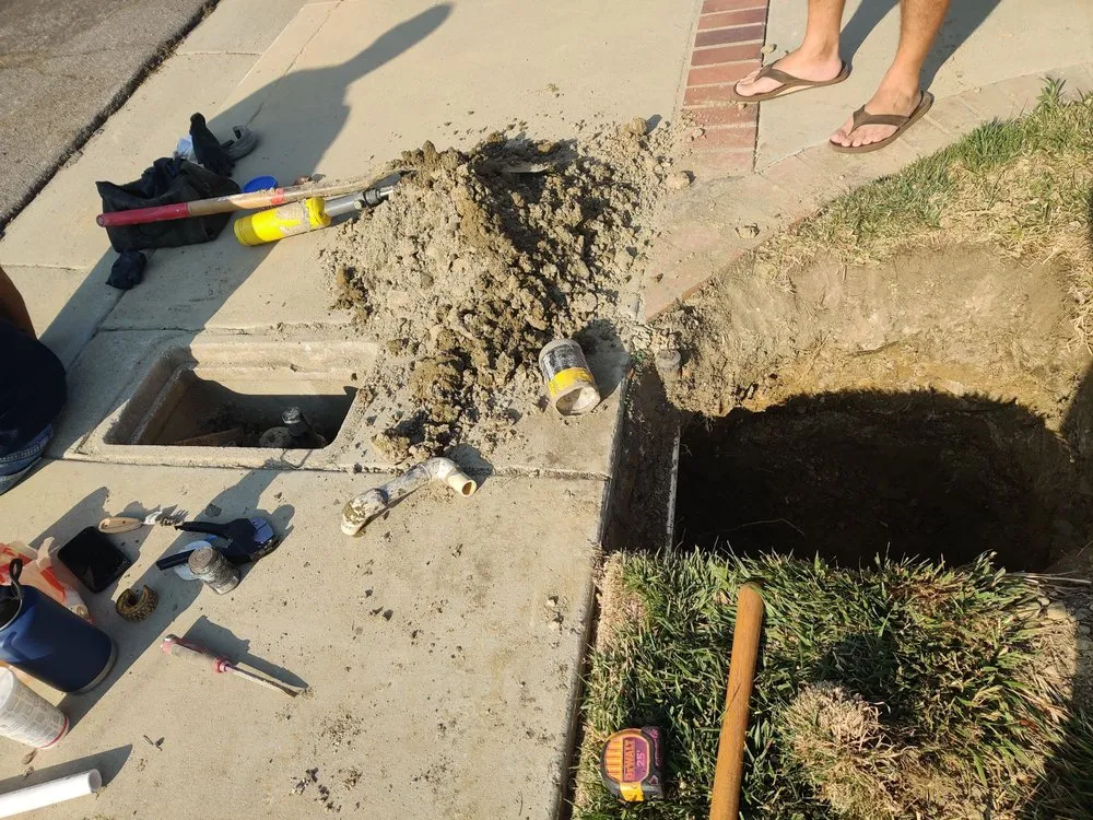 Slide of Prodigy Rooter