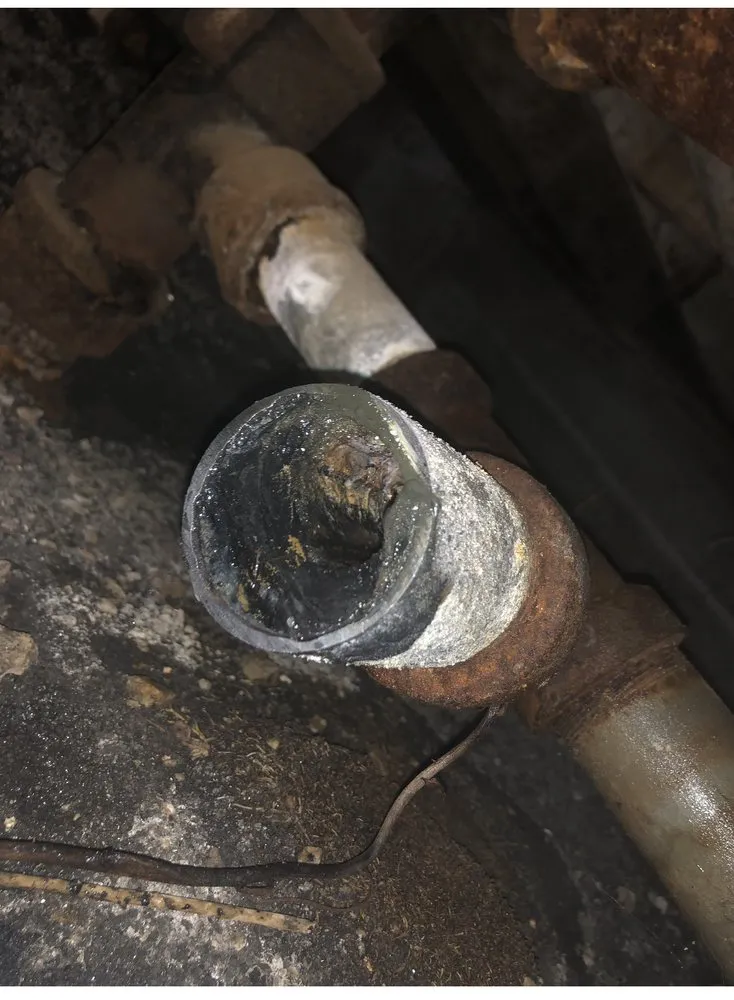 Slide of Prodigy Rooter