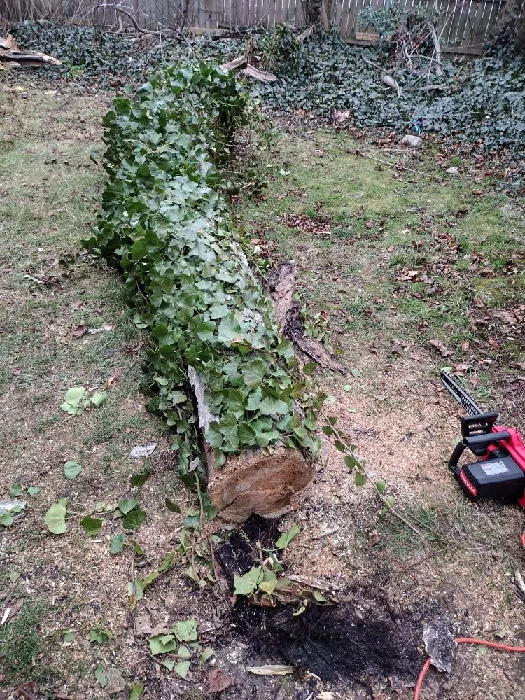 Slide of Productive services