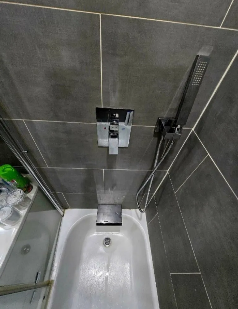 Slide of Profesional Plumbing Solutions