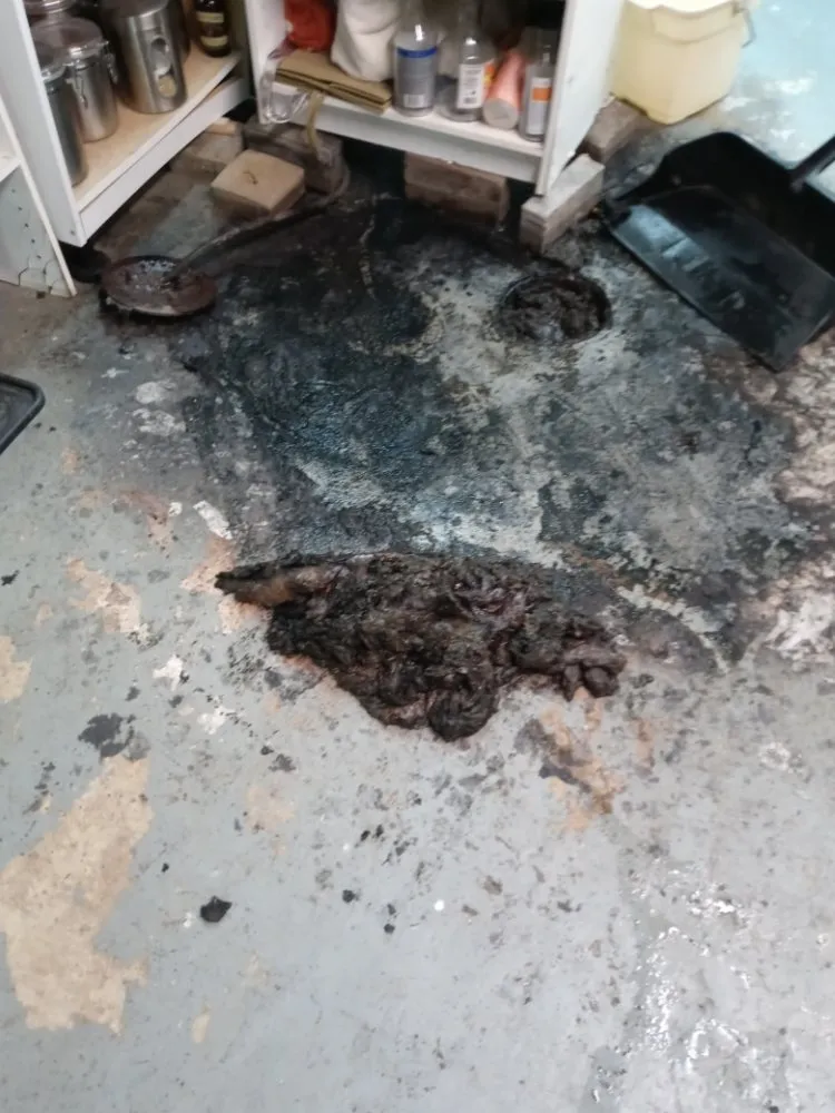 Reliable leak detection experts serving West Allis, WI - Professional Drain and Sewer Cleaning