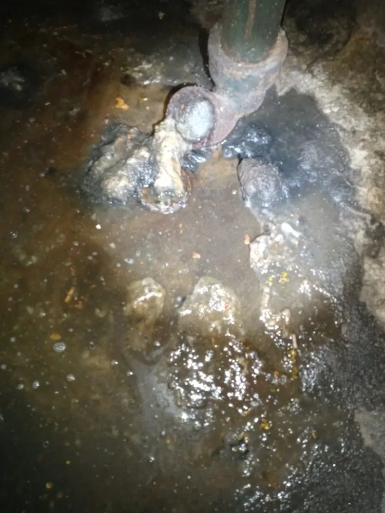 Top-rated drain cleaning experts serving West Allis, WI - Professional Drain and Sewer Cleaning