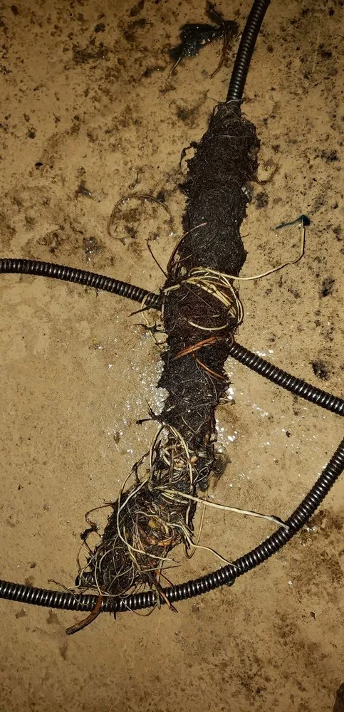 Slide of Professional Drain and Sewer Cleaning