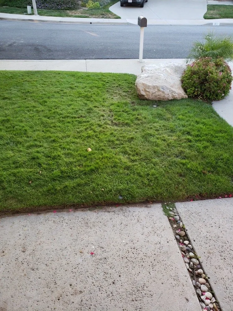 Slide of Professional Drain Service