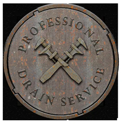 Professional Drain Service Logo