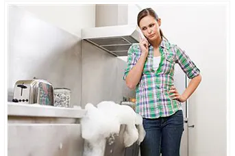 Professional Plumber Drain Service Logo