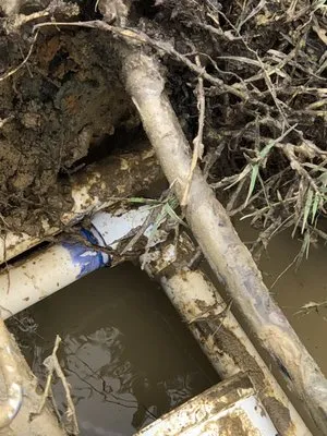 Professional Plumbers Group Logo