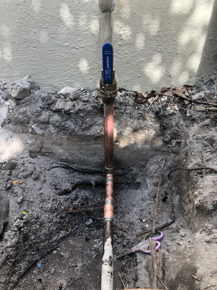 Expert drain cleaning in Hollywood, FL by Professional Plumbing & Poo Services