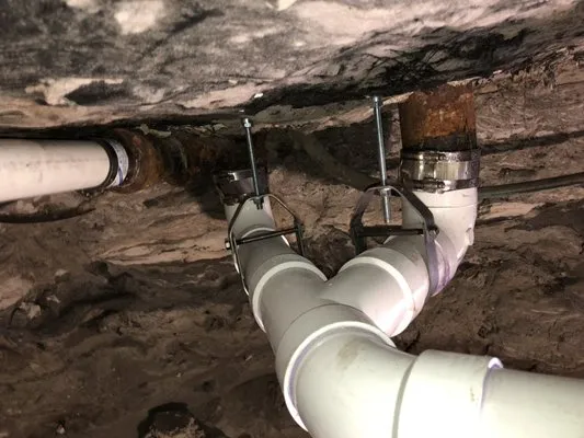 Professional Plumbing & Poo Services Logo