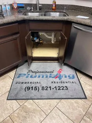Professional Plumbing