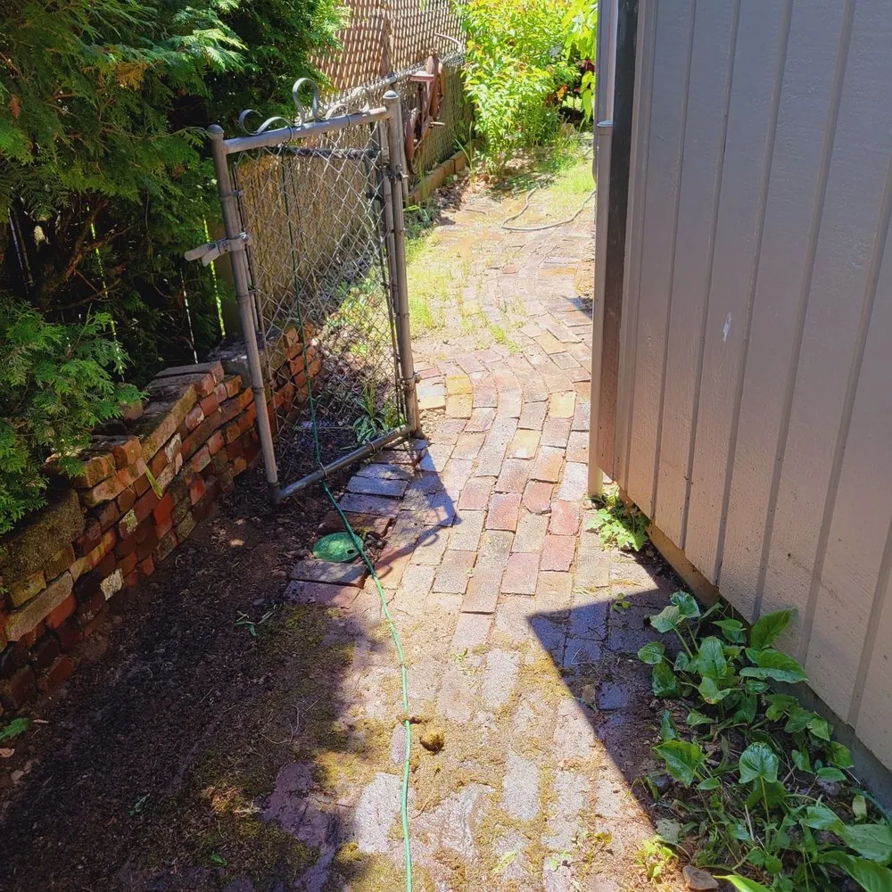 Slide of Professional Plumbing