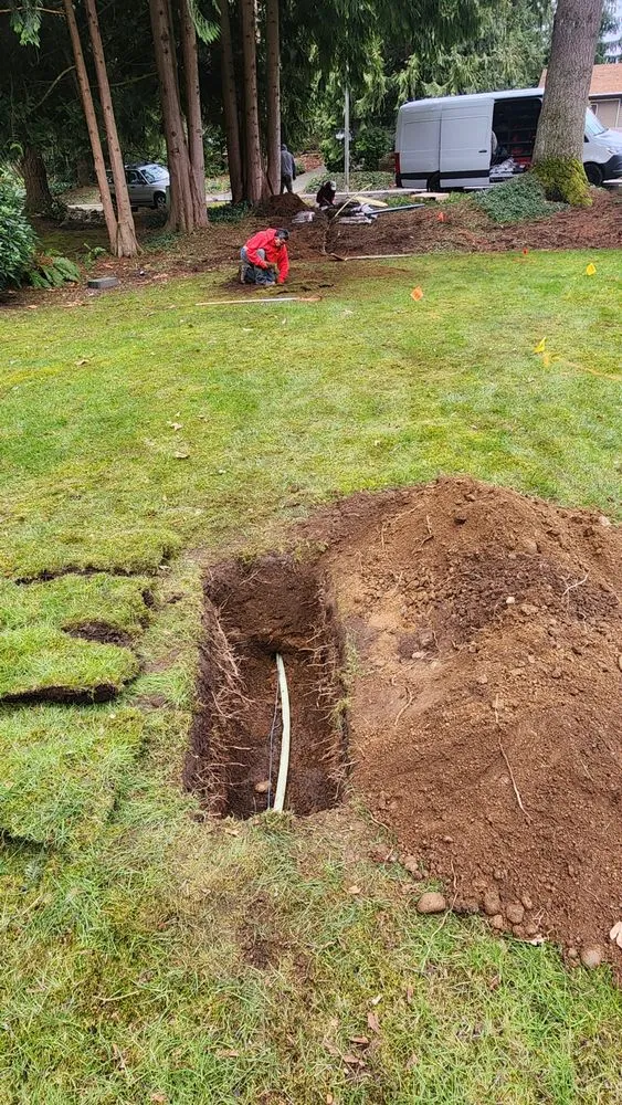 Affordable emergency plumbing in Lynnwood, WA by Professional Plumbing