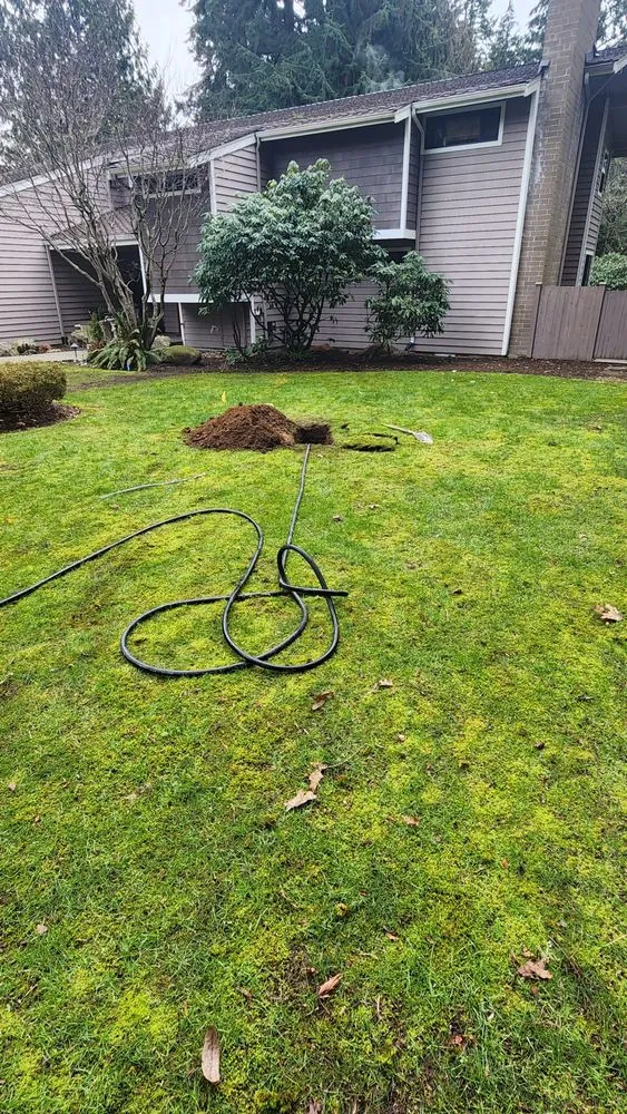 Expert drain cleaning for homes in Lynnwood, WA by Professional Plumbing