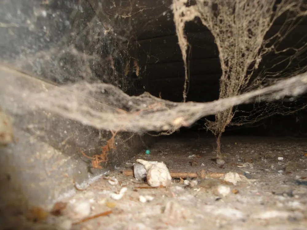 Slide of Professional Plumbing Maintenance