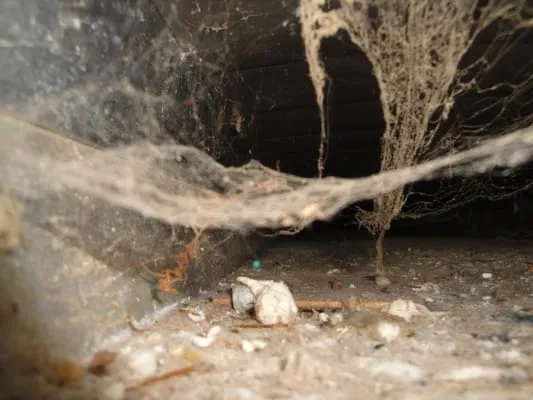 Professional Plumbing Maintenance Logo