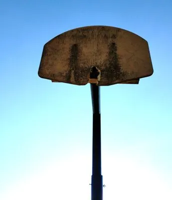 Professional Plumbing Services Logo