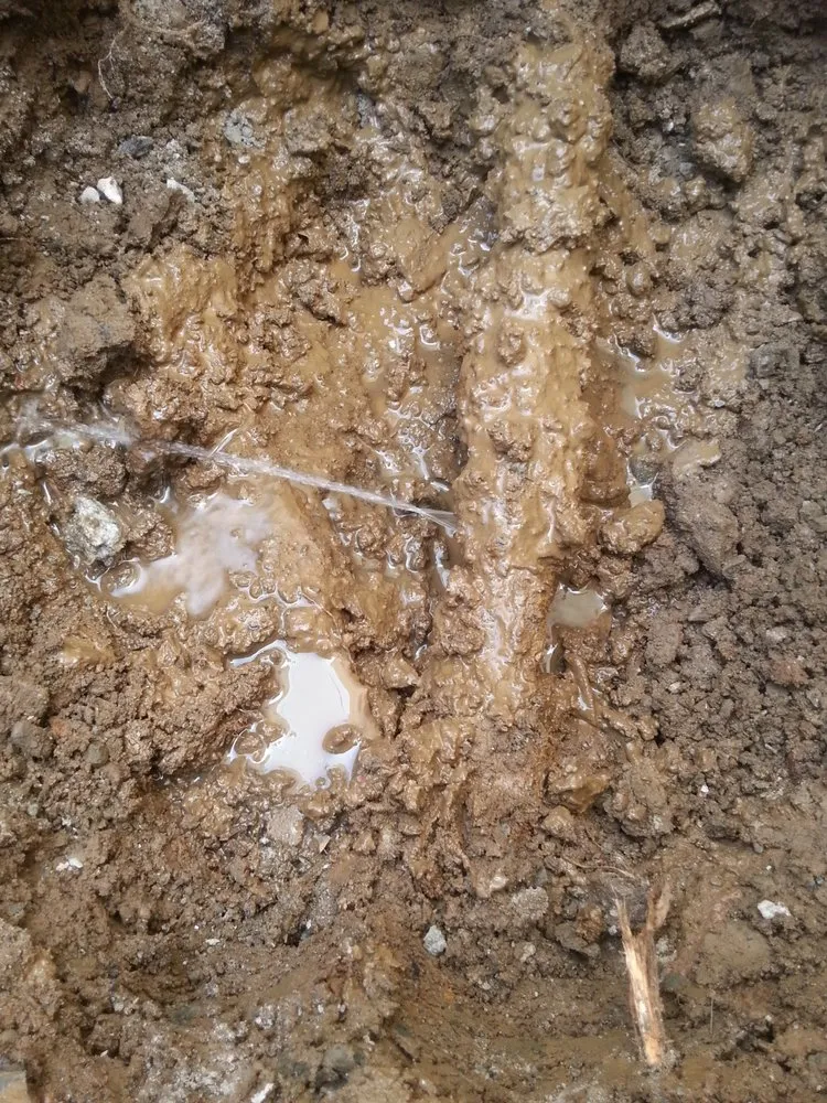 Slide of Professional Plumbing Solutions