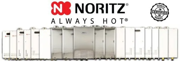 Professional Plumbing Solutions Logo